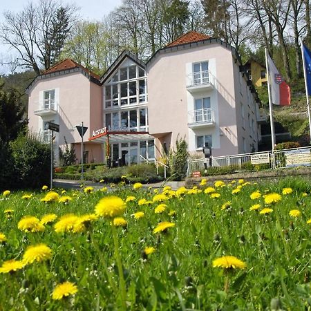 Altstadthotel An Der Werra Meiningen Luaran gambar